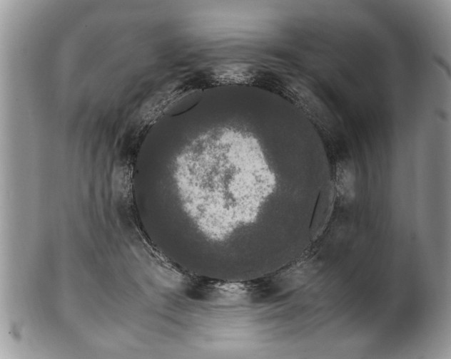 X0000102260409200808011409