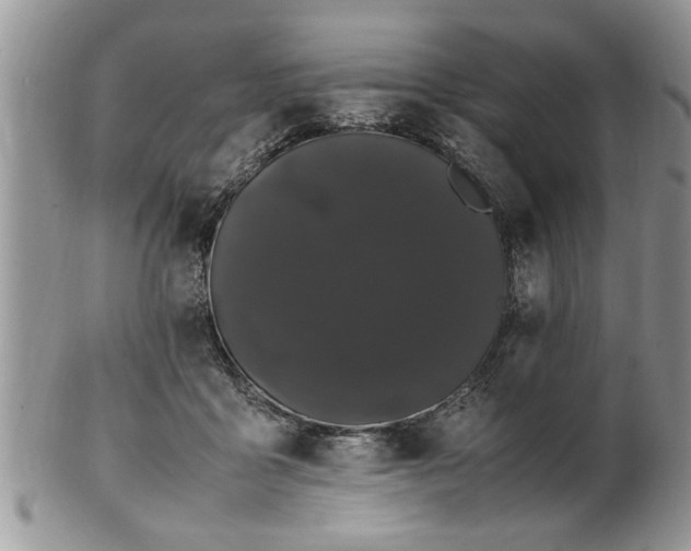 X0000102260411200808011409