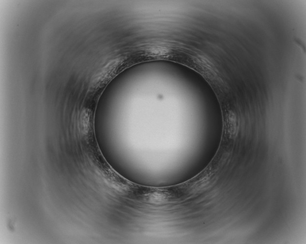 X0000102260412200808011409