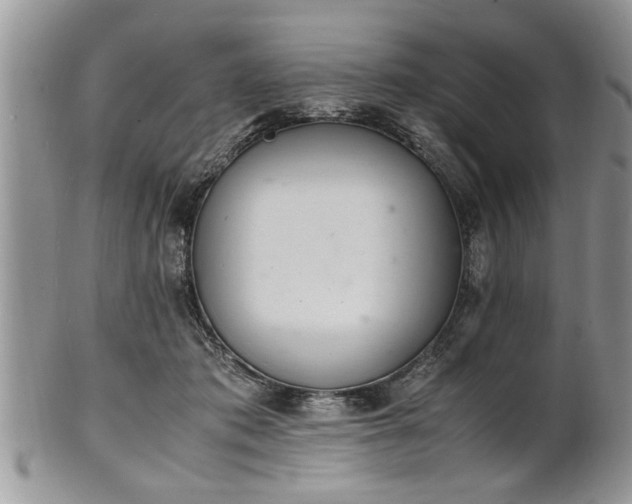 X0000102260413200808011409