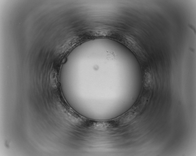 X0000102260414200808011409