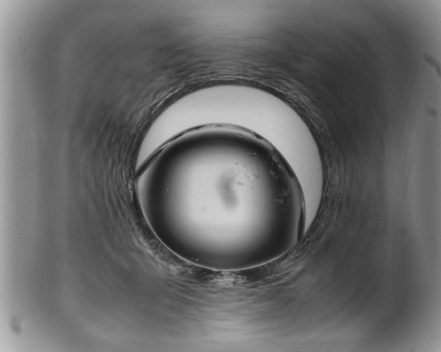 X0000102260415200808011409