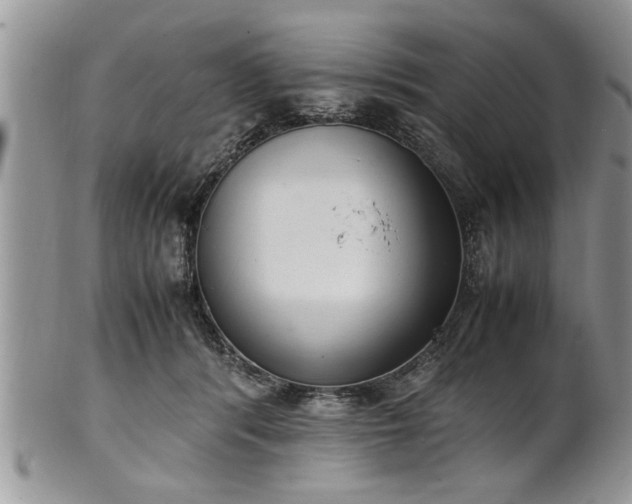 X0000102260416200808011409