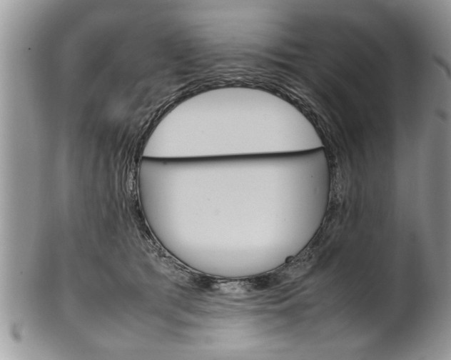 X0000102260417200808011409