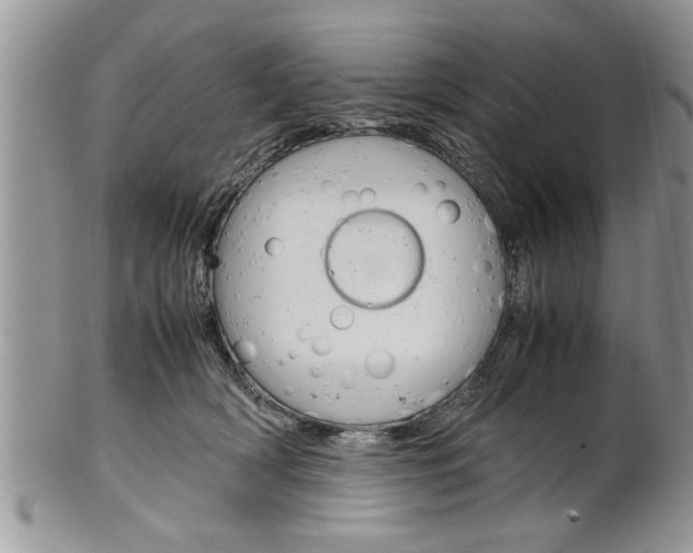 X0000102260418200808011409