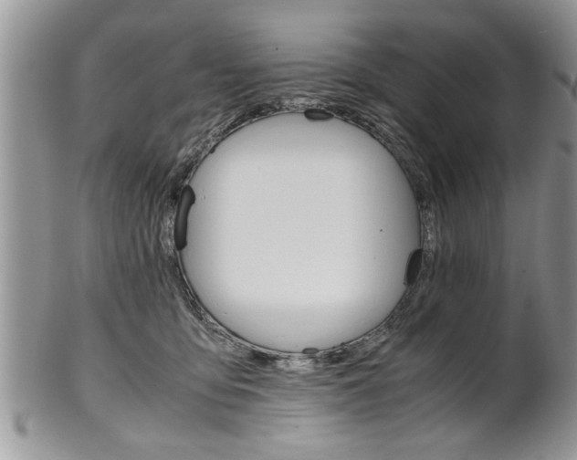 X0000102260419200808011409