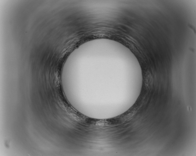 X0000102260420200808011409