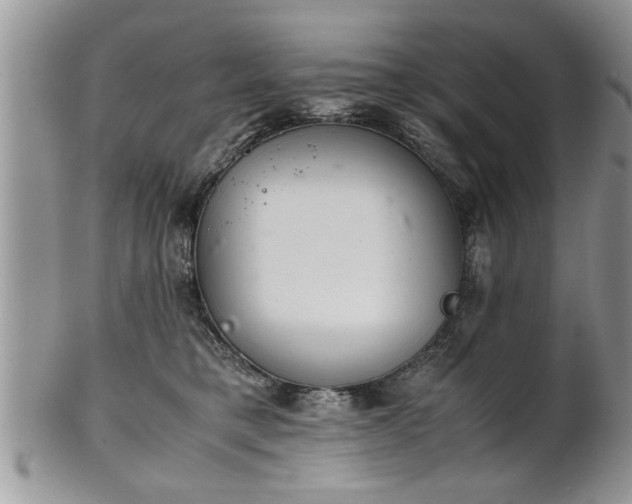 X0000102260421200808011409