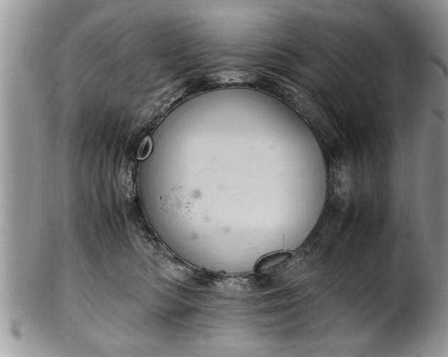 X0000102260422200808011409