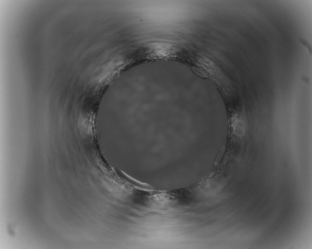 X0000102260423200808011409