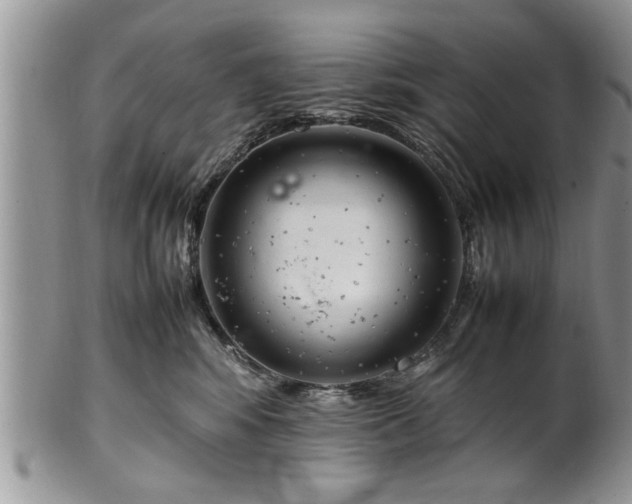 X0000102260424200808011409