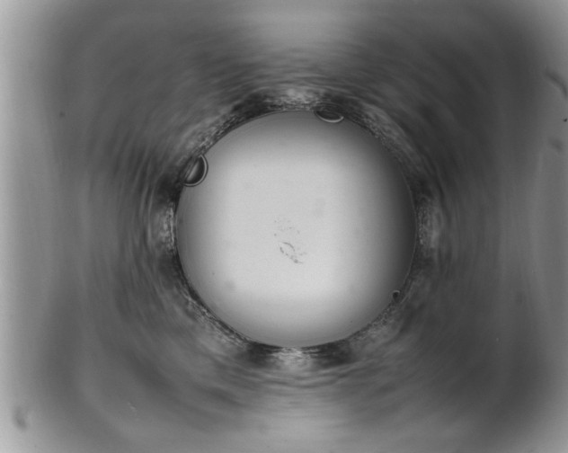 X0000102260425200808011409