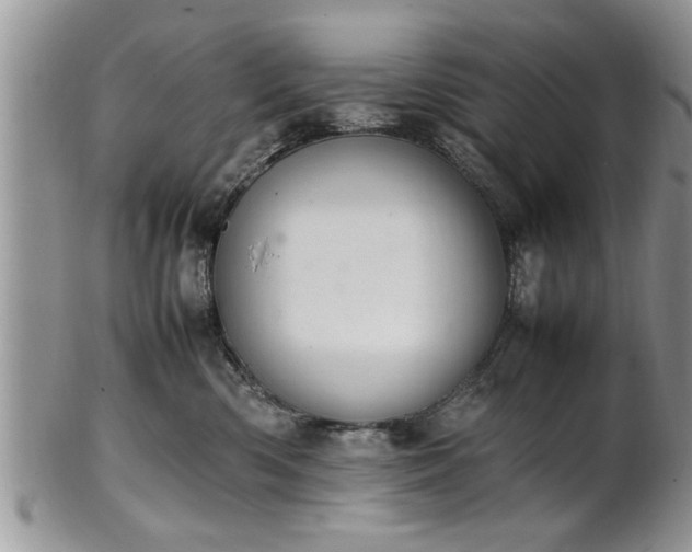 X0000102260426200808011409