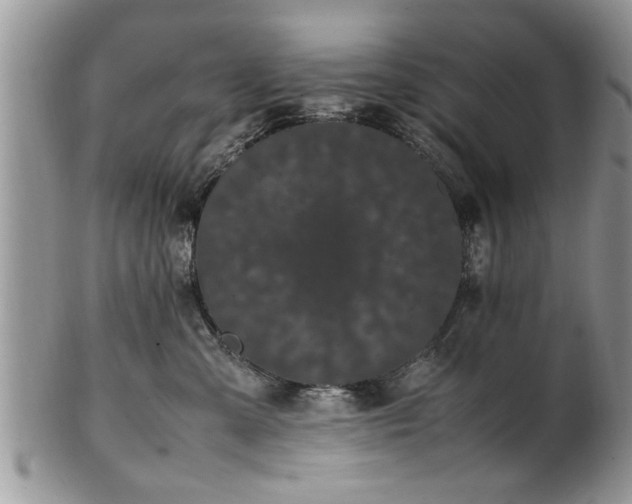 X0000102260427200808011409