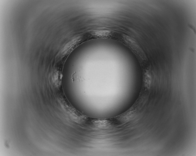 X0000102260428200808011409