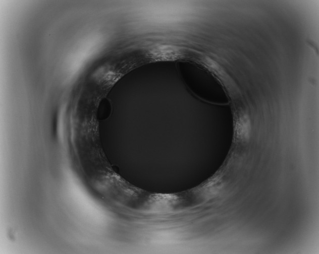 X0000102260429200808011409