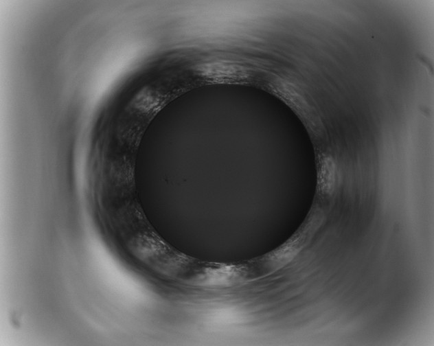 X0000102260430200808011409