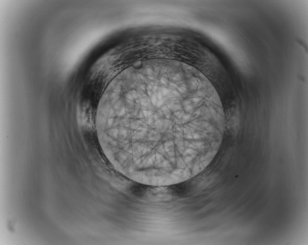 X0000102260431200808011409