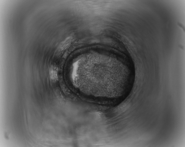 X0000102260432200808011409