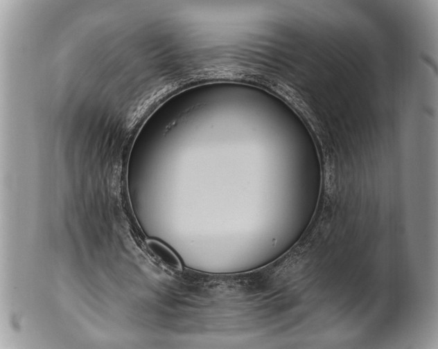 X0000102260434200808011408