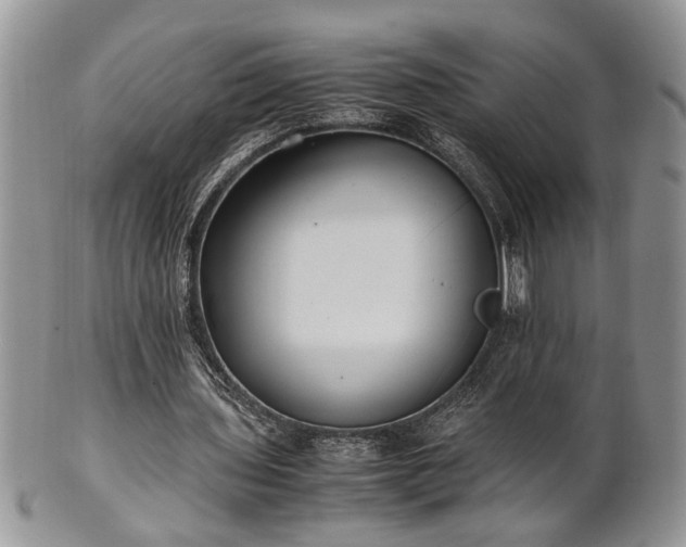 X0000102260435200808011408