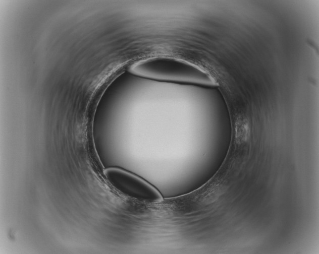 X0000102260436200808011408