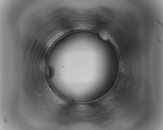 X0000102260437200808011408