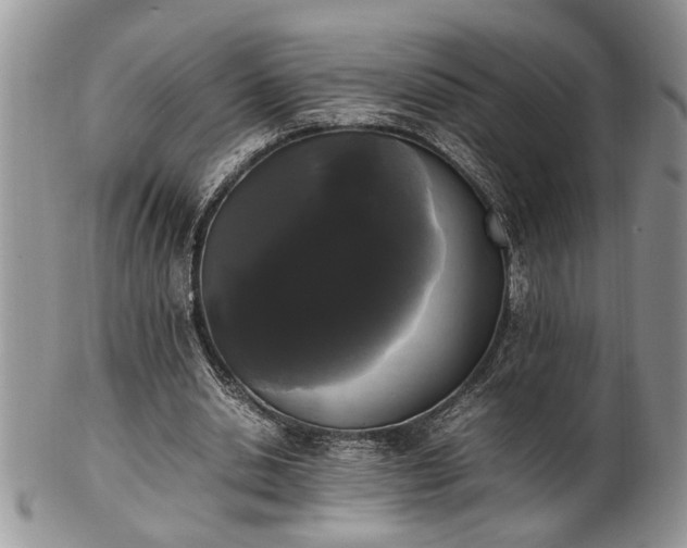 X0000102260438200808011408