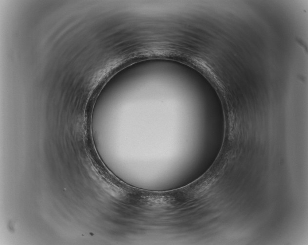 X0000102260439200808011408