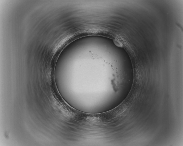 X0000102260440200808011408