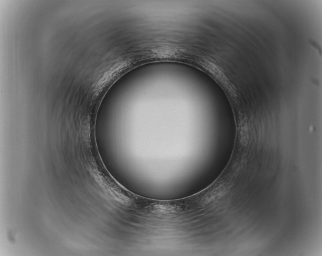 X0000102260442200808011408