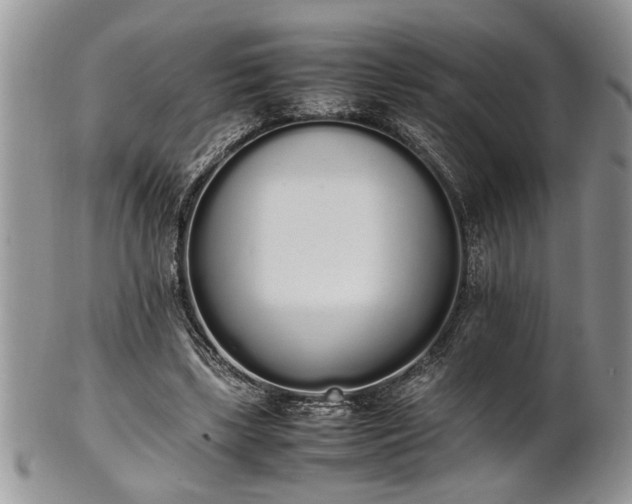 X0000102260443200808011408