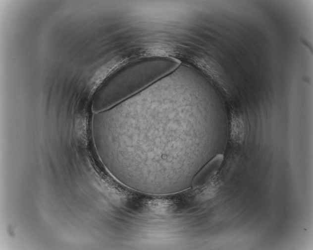 X0000102260444200808011408