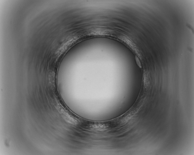 X0000102260445200808011408