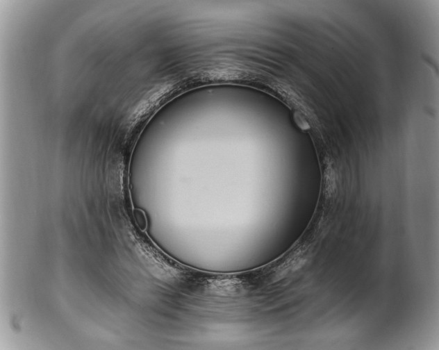 X0000102260446200808011408