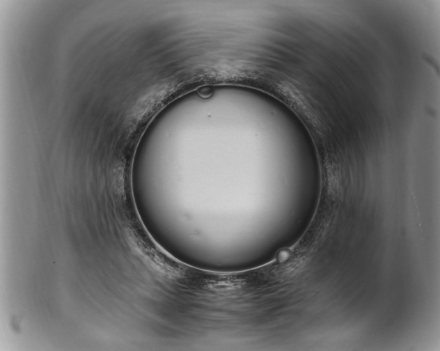 X0000102260447200808011408