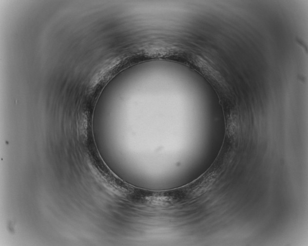 X0000102260448200808011408