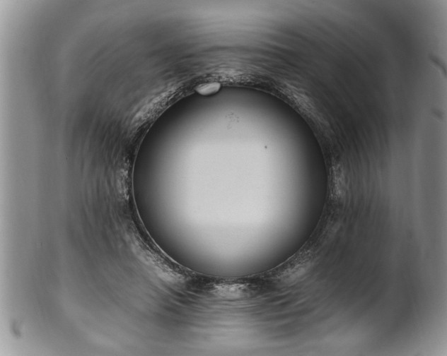 X0000102260450200808011408