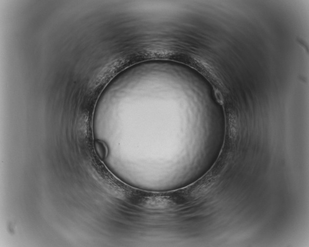 X0000102260451200808011408