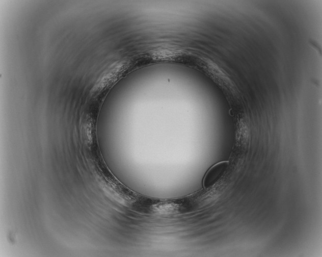 X0000102260452200808011408