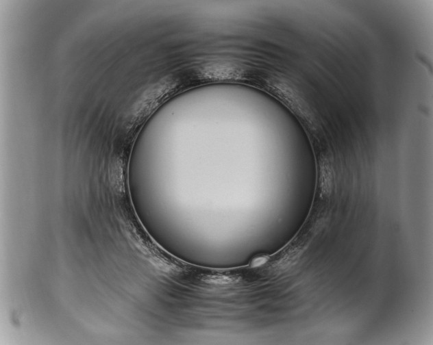 X0000102260453200808011408