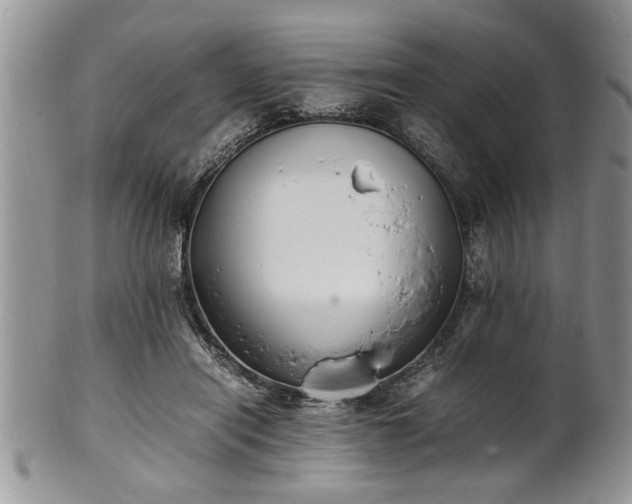 X0000102260454200808011408