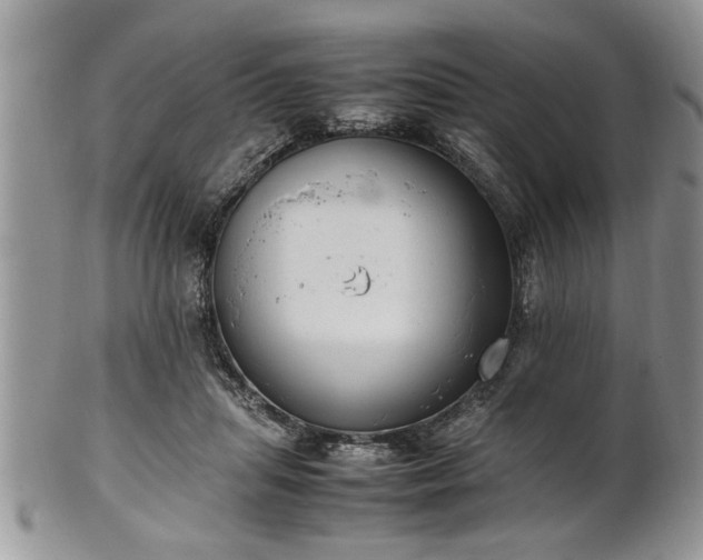 X0000102260455200808011409