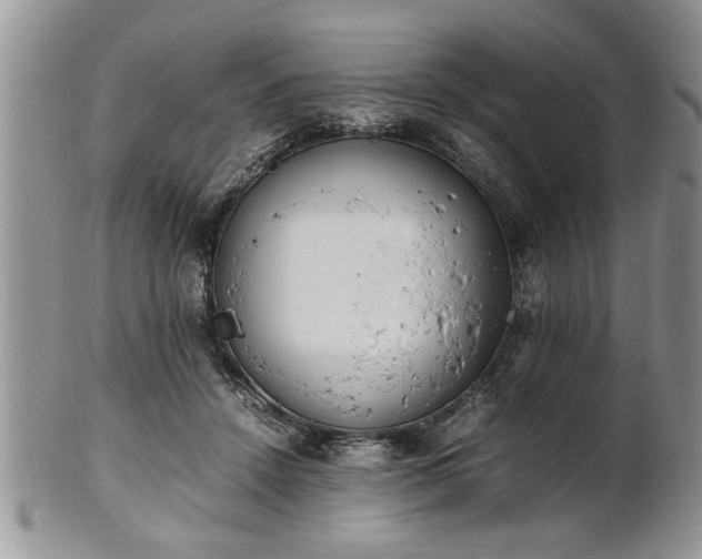 X0000102260456200808011409