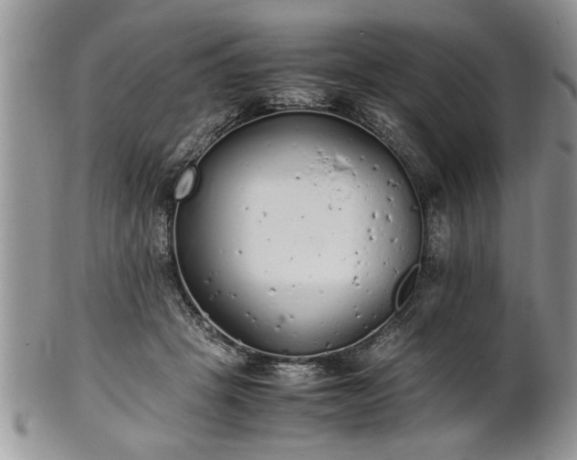 X0000102260457200808011409