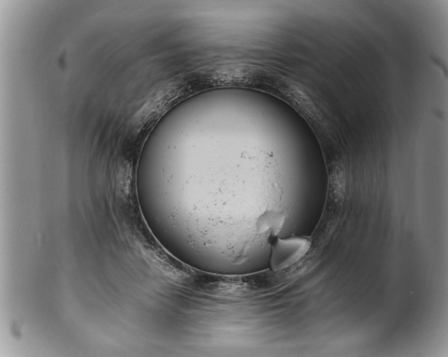 X0000102260458200808011409