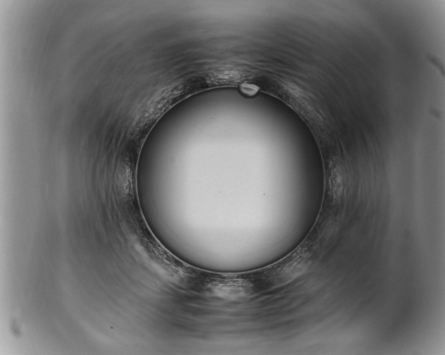 X0000102260459200808011409