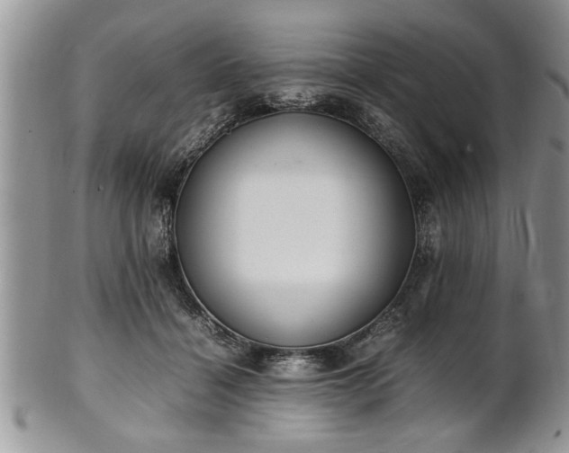 X0000102260460200808011409