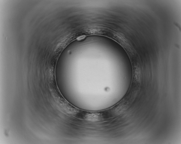 X0000102260461200808011409