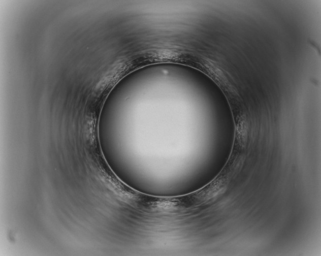 X0000102260462200808011409